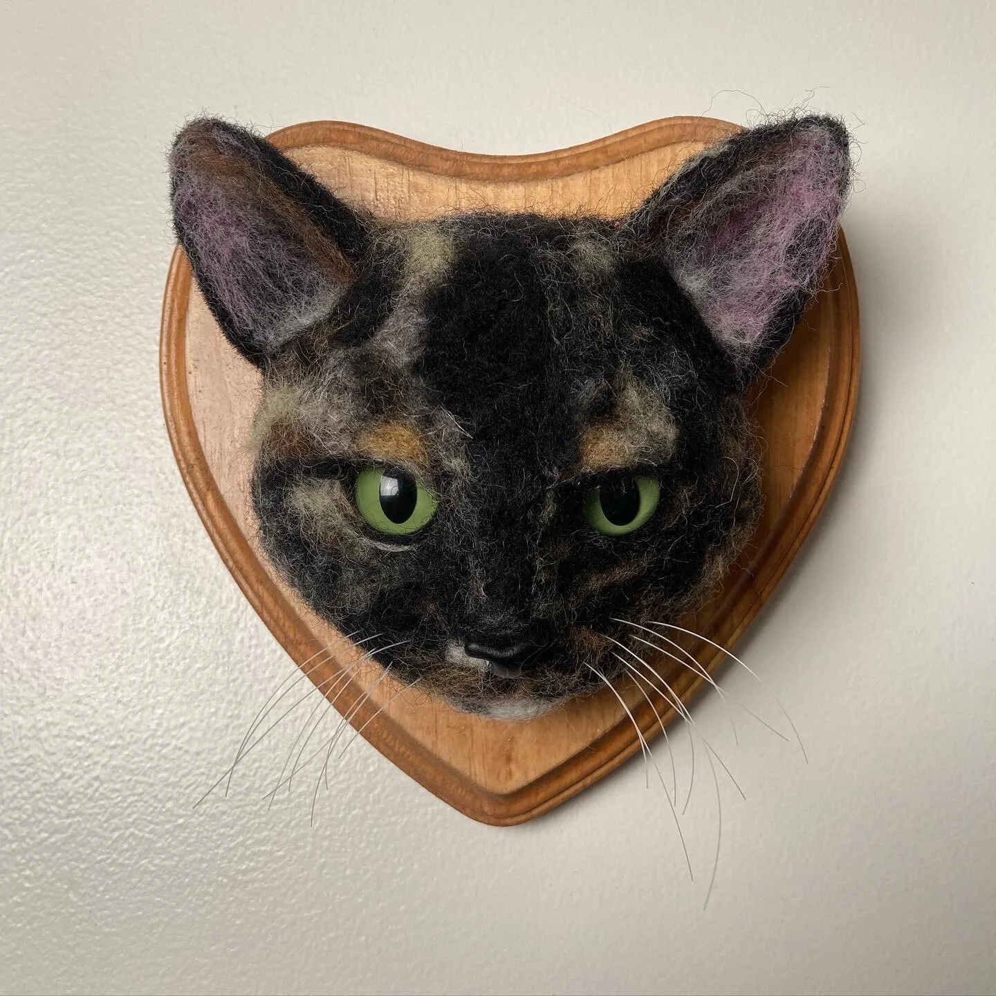 Miso - Tortie - SOLD