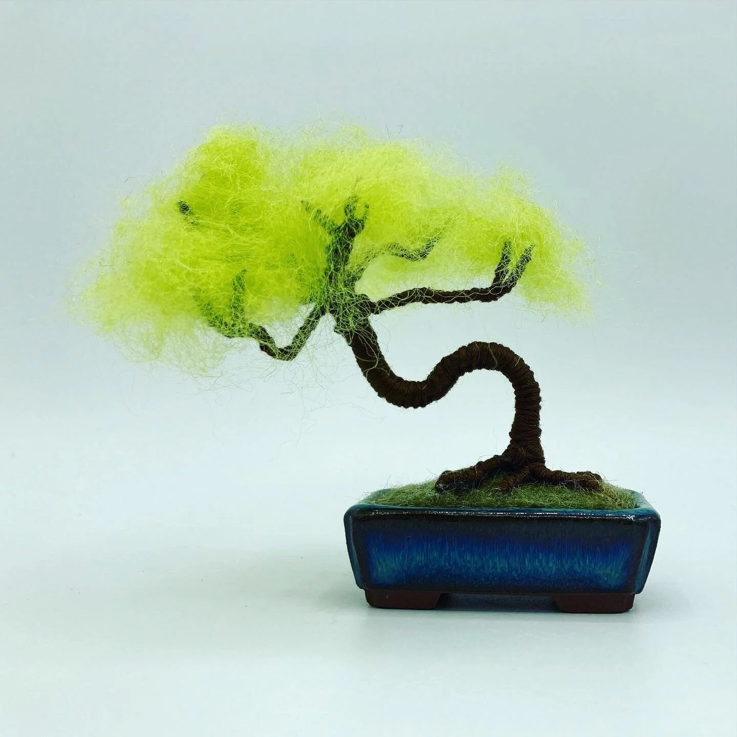 Bonsai in Rectangular Pot - SOLD