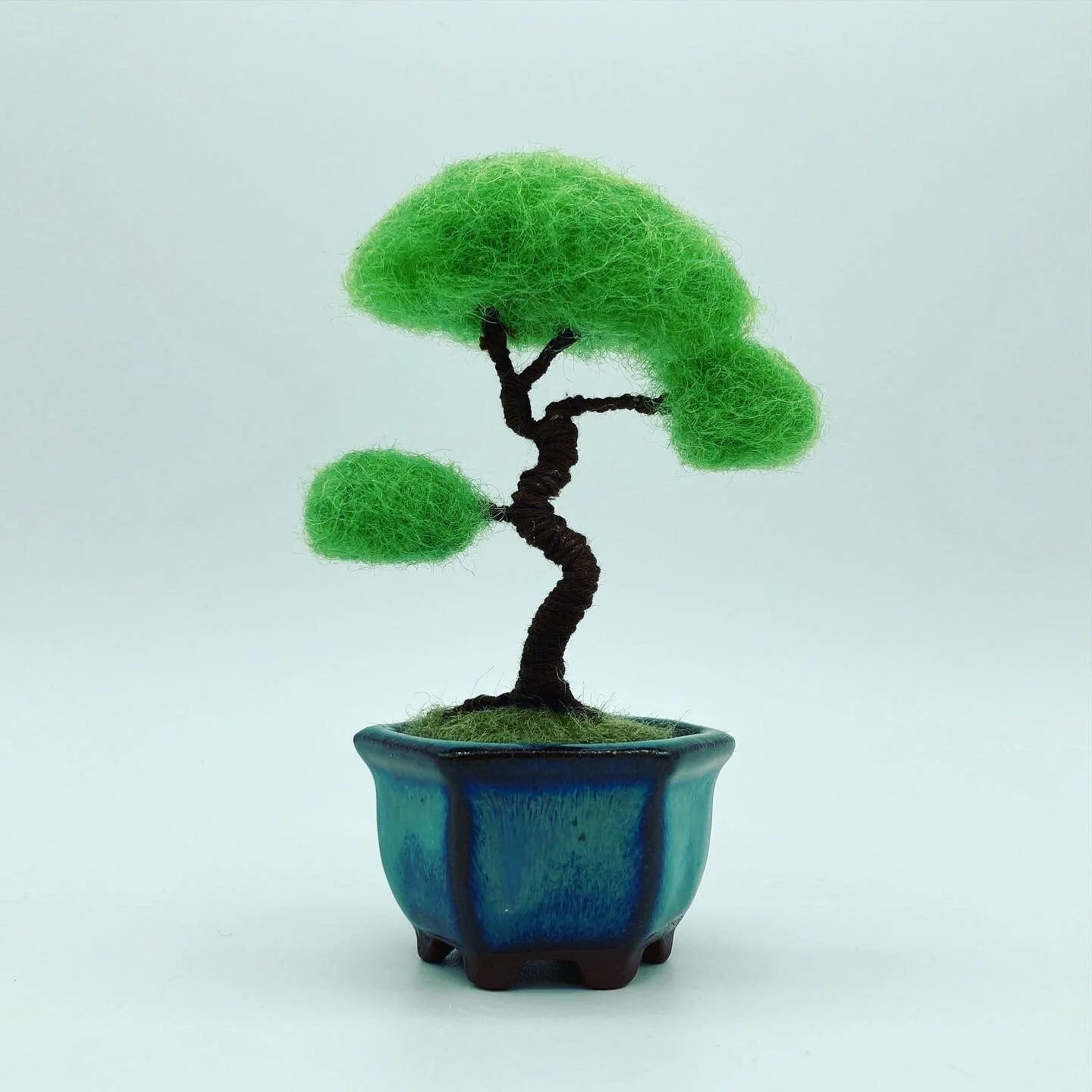 Bonsai in Octagonal Pot - SOLD