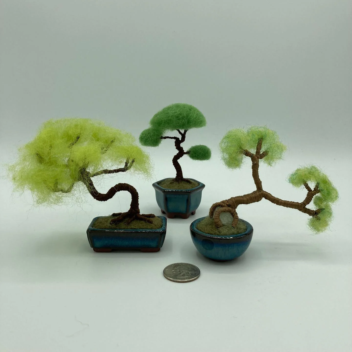 Trio of Mini Bonsai Trees
