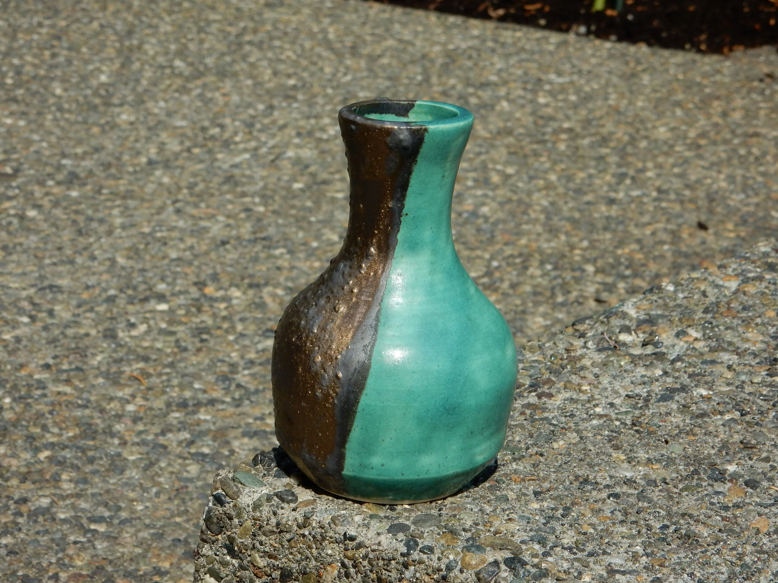 DSCN8973.JPG