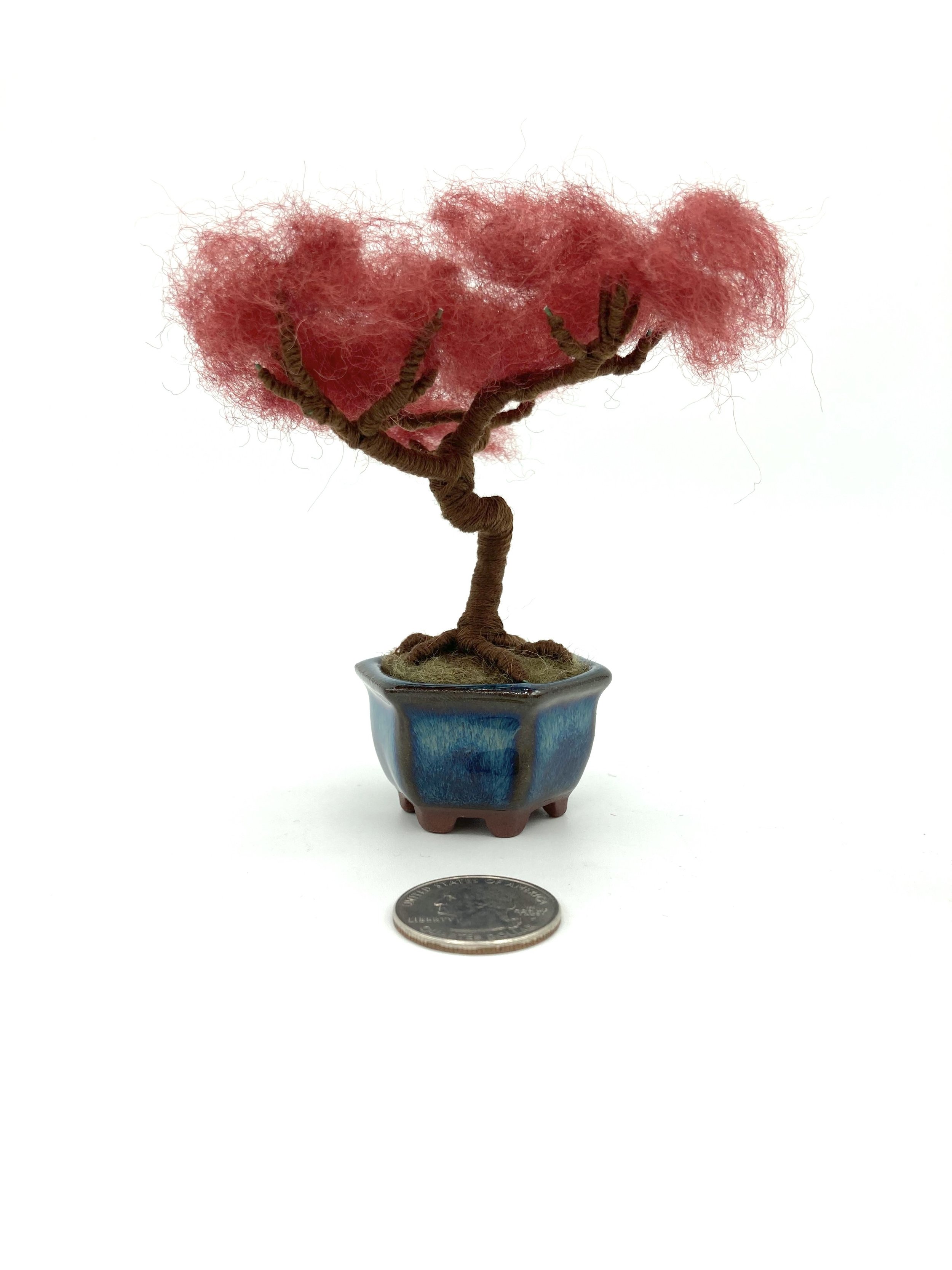 informal upright red bonsai.jpg