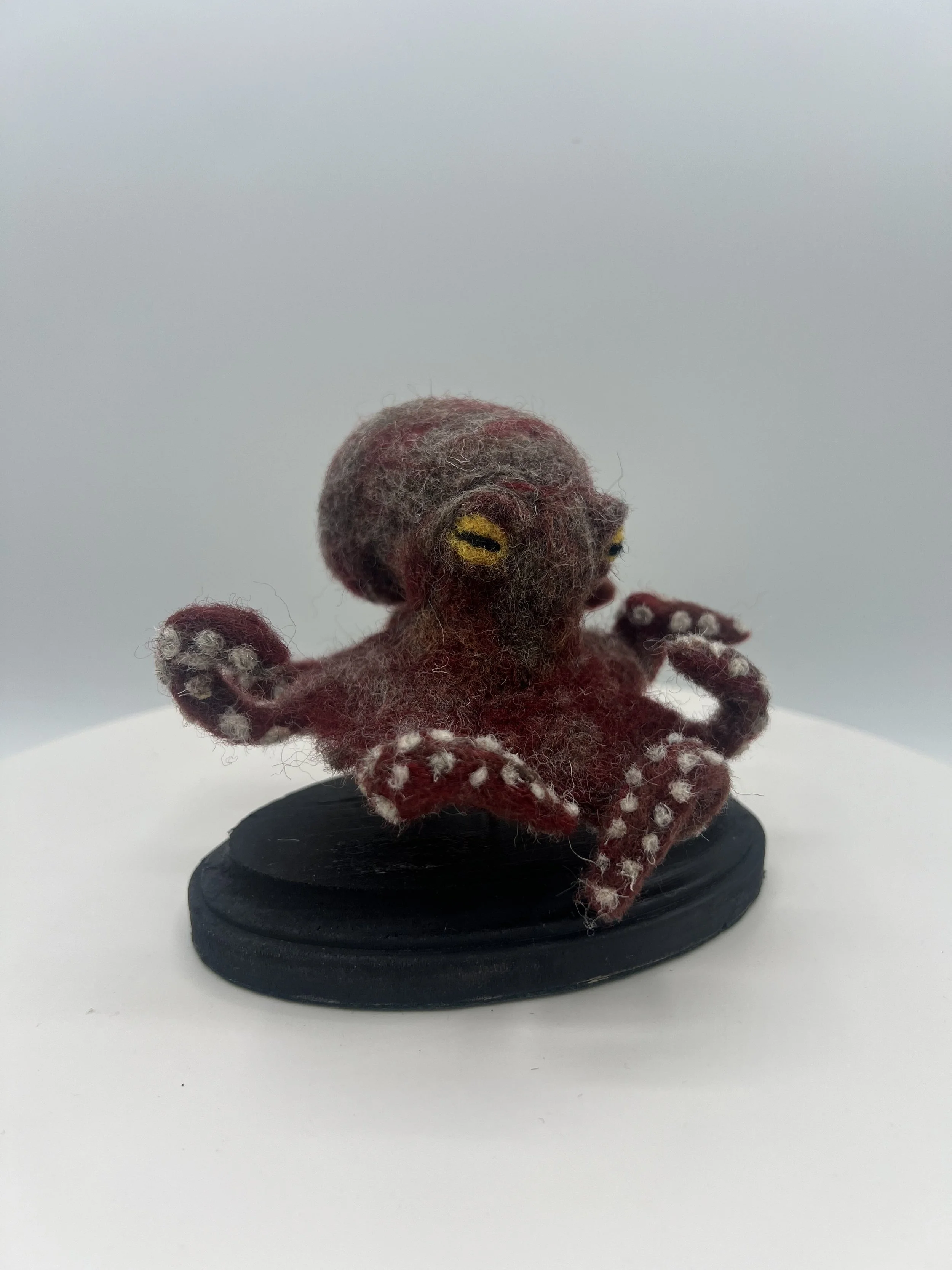 Purple Octopus