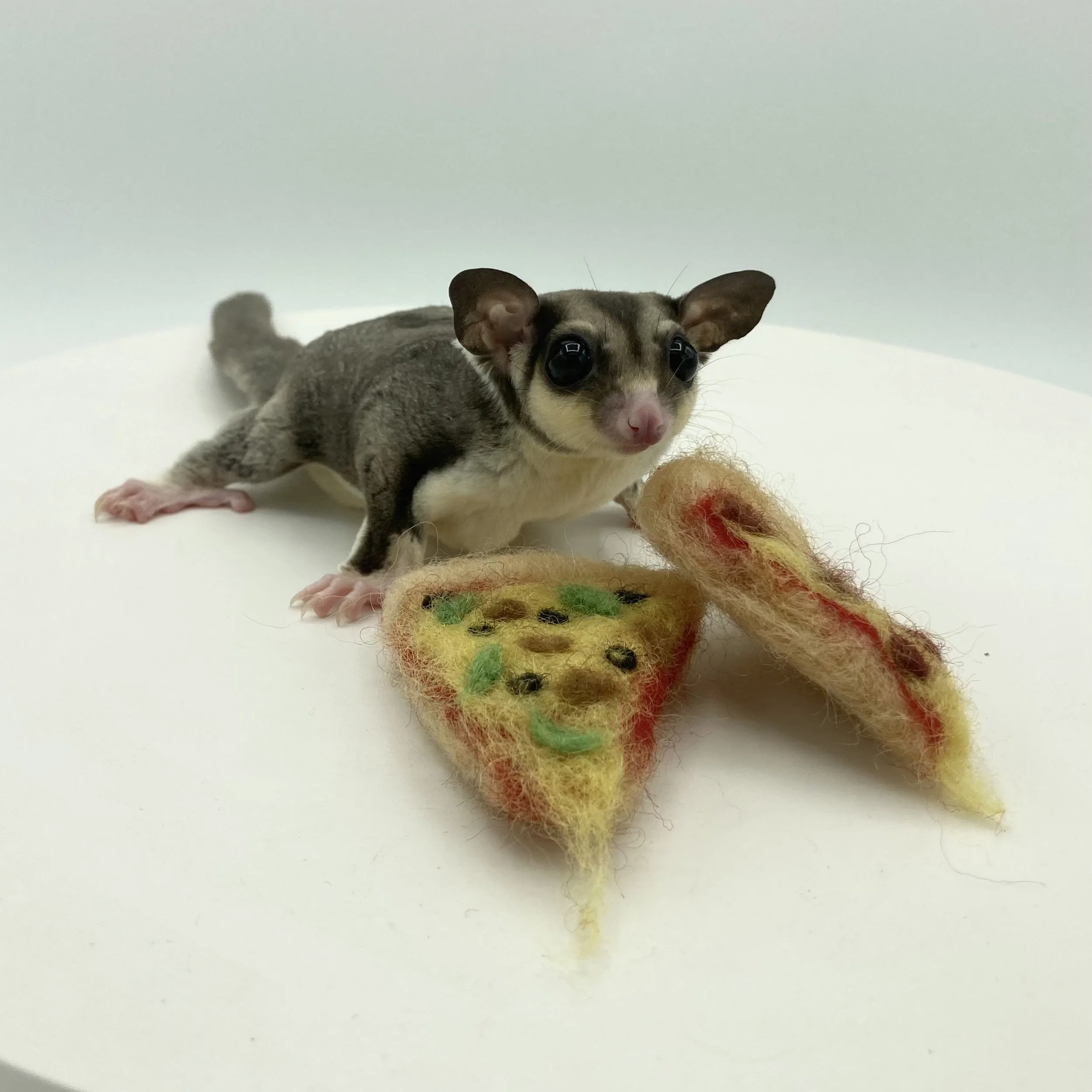 Pizza Slices - Veggie Supreme and Pepperoni