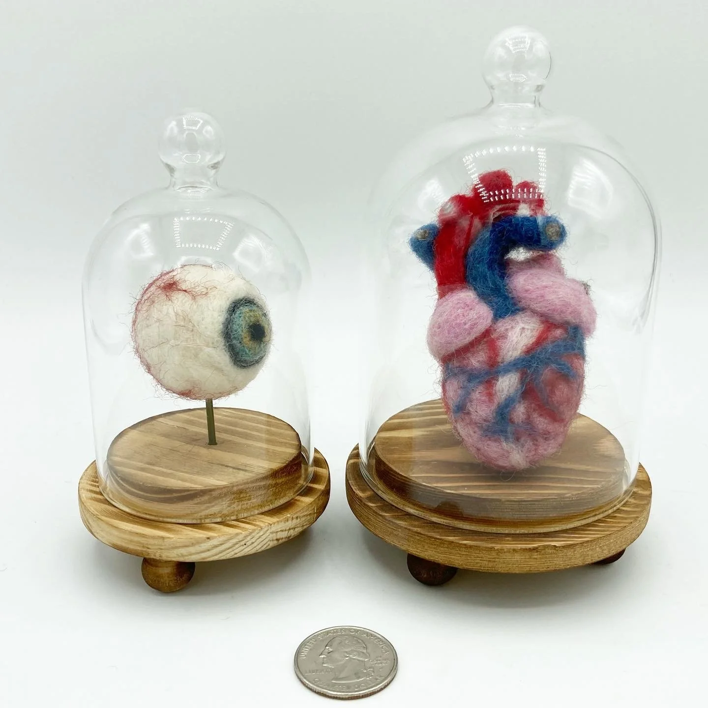 Eyeball and Mini Heart in Cloches