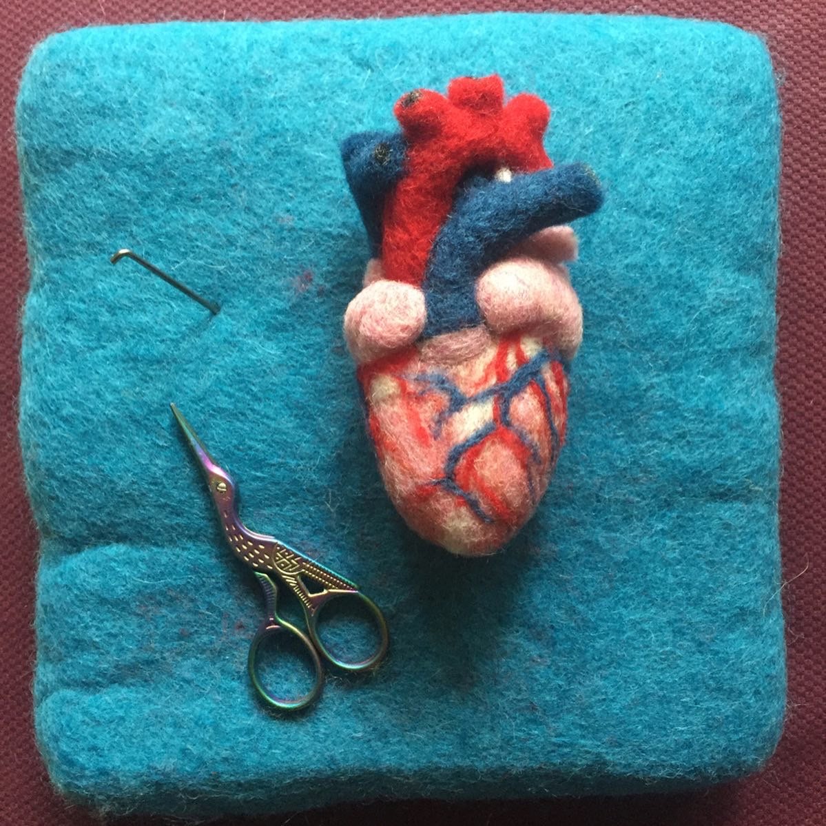 Human Heart 