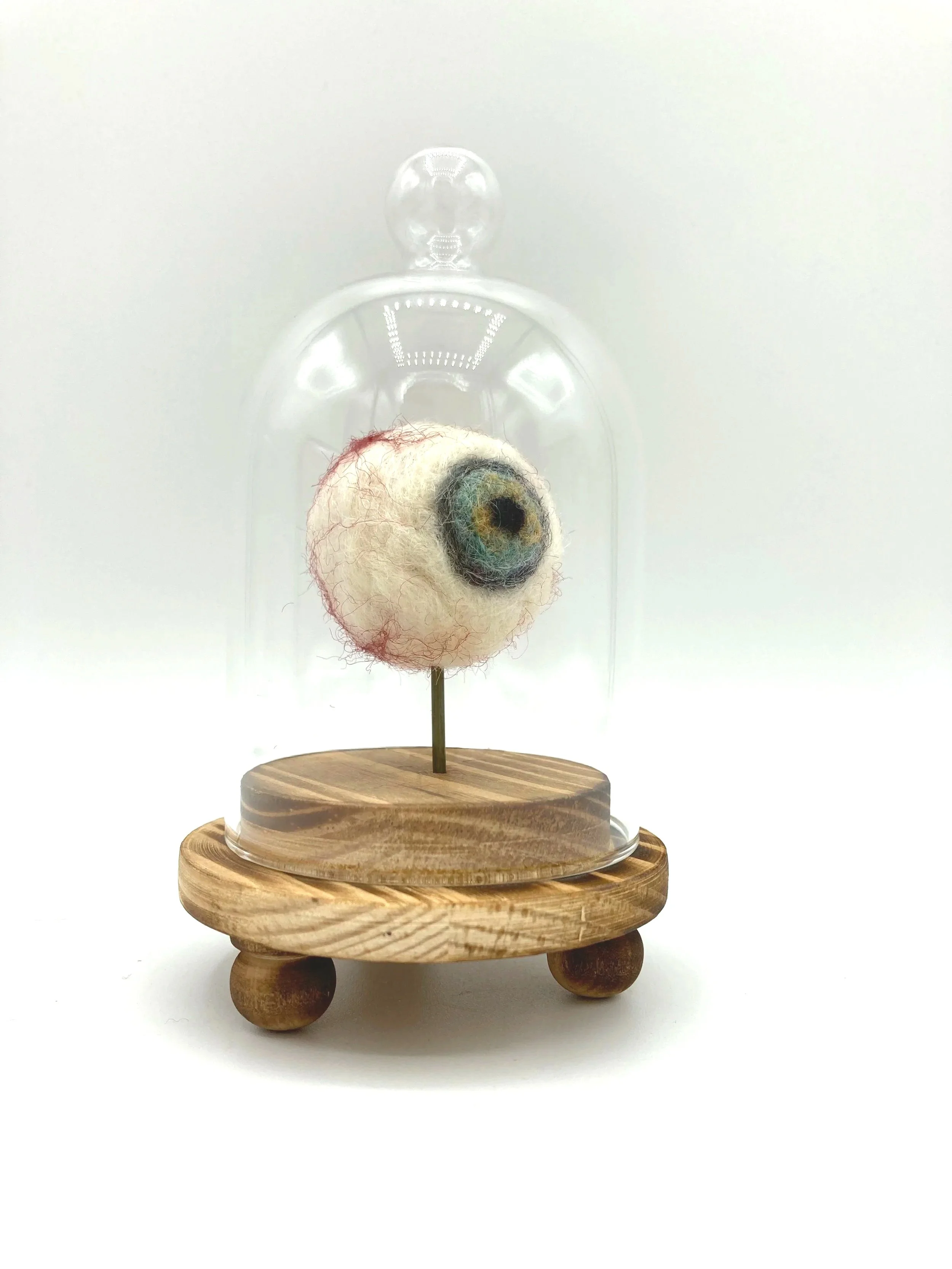 Human Eye 