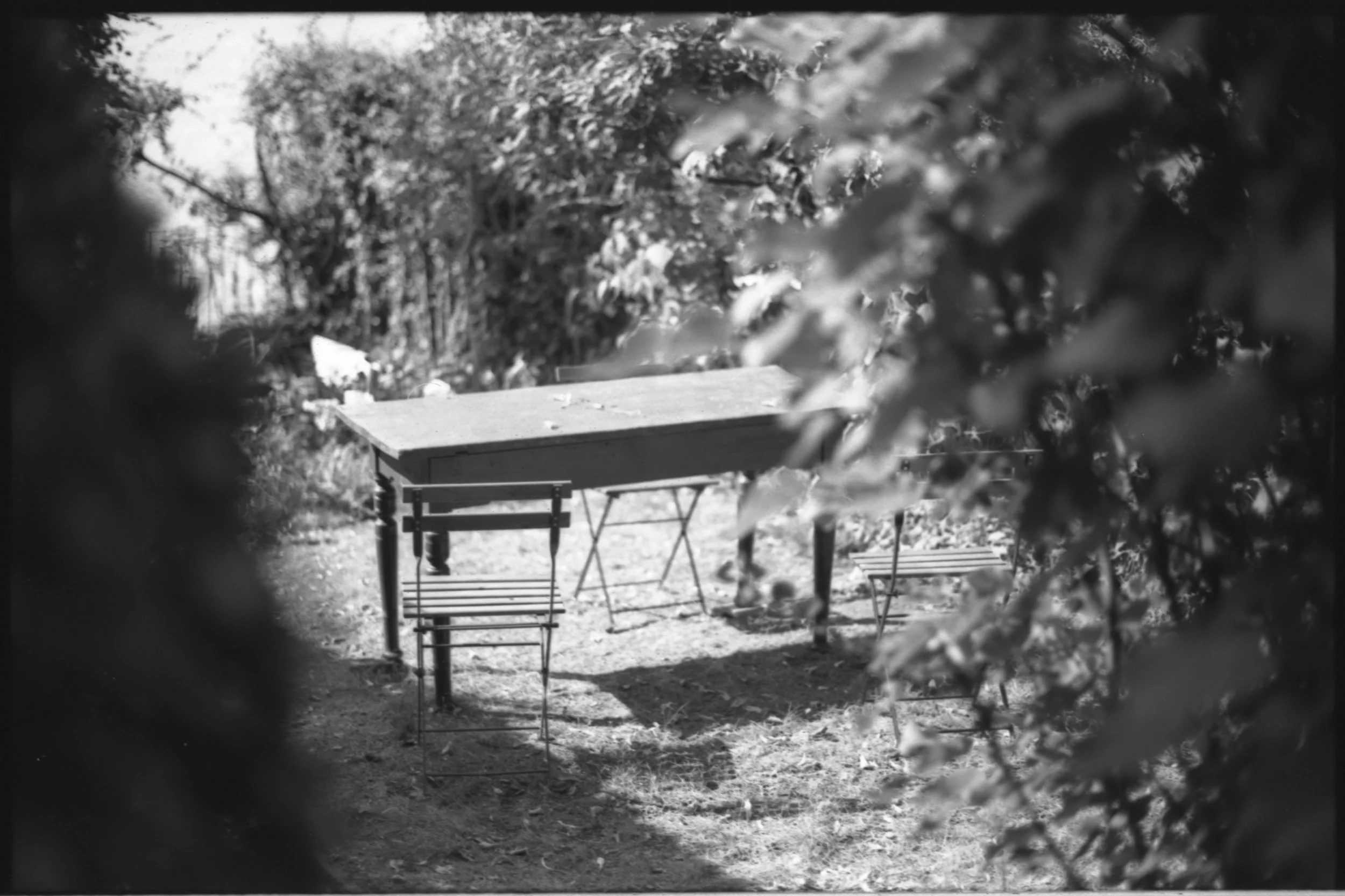 Erstes Foto des Monats “La Dolce Vita”
