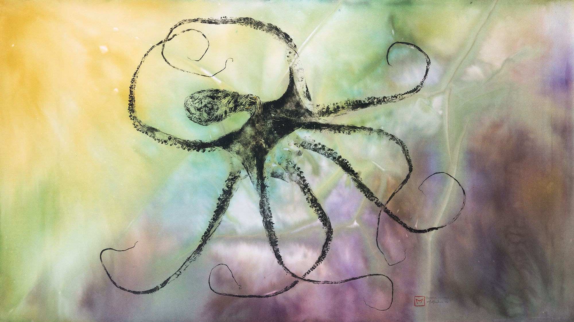 octopus 2.jpg