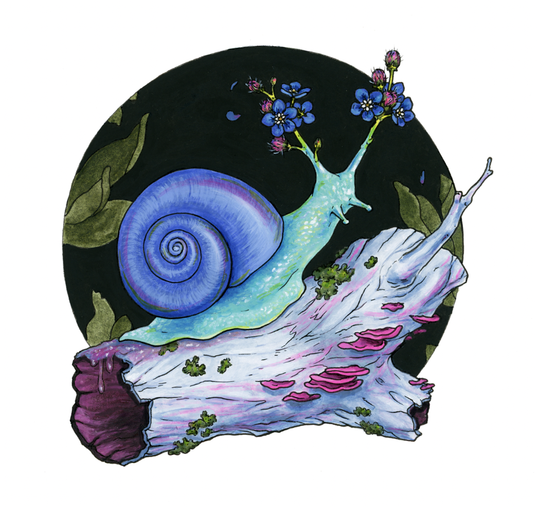 2023 Artists Printmaking/Drawing — Association For Visual Arts