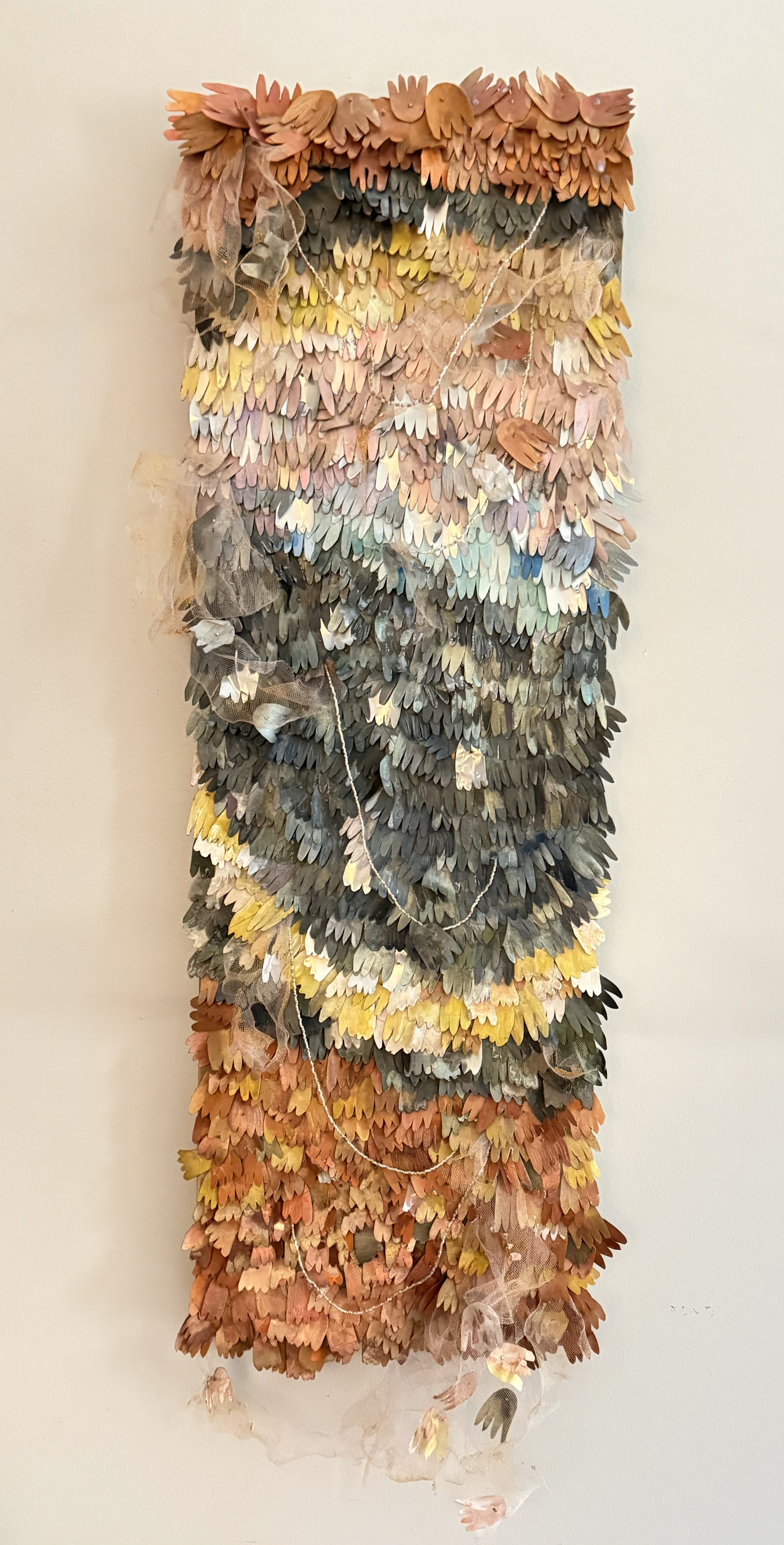 ROGERS-Holding Wonder.png