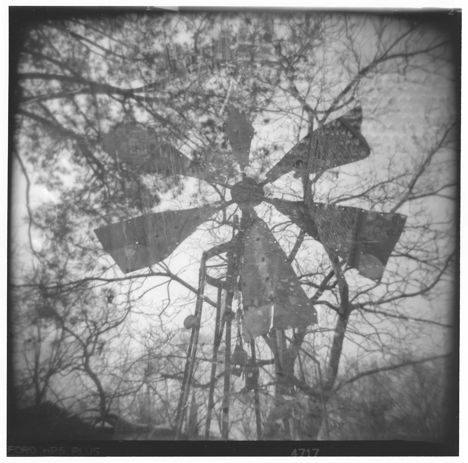 Cohen_Windmill (1).jpg