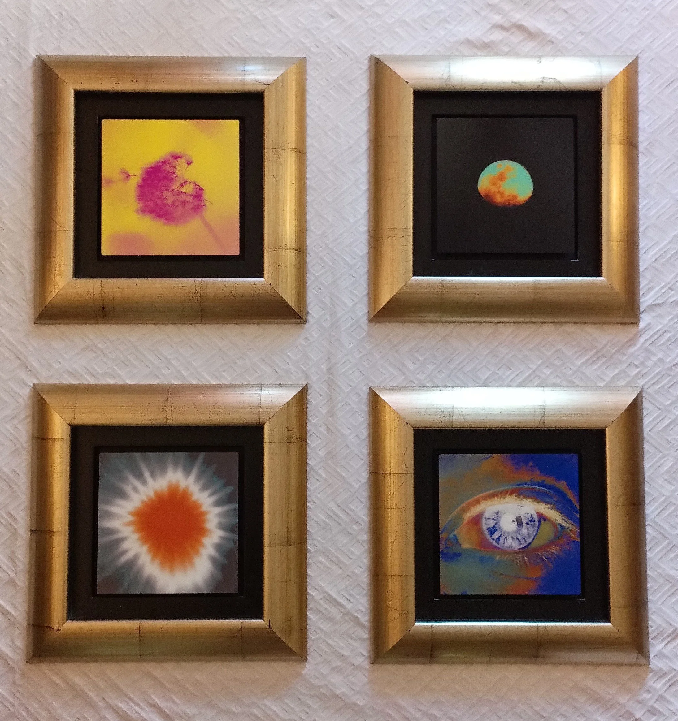 Circles of Life (Quadriptych)