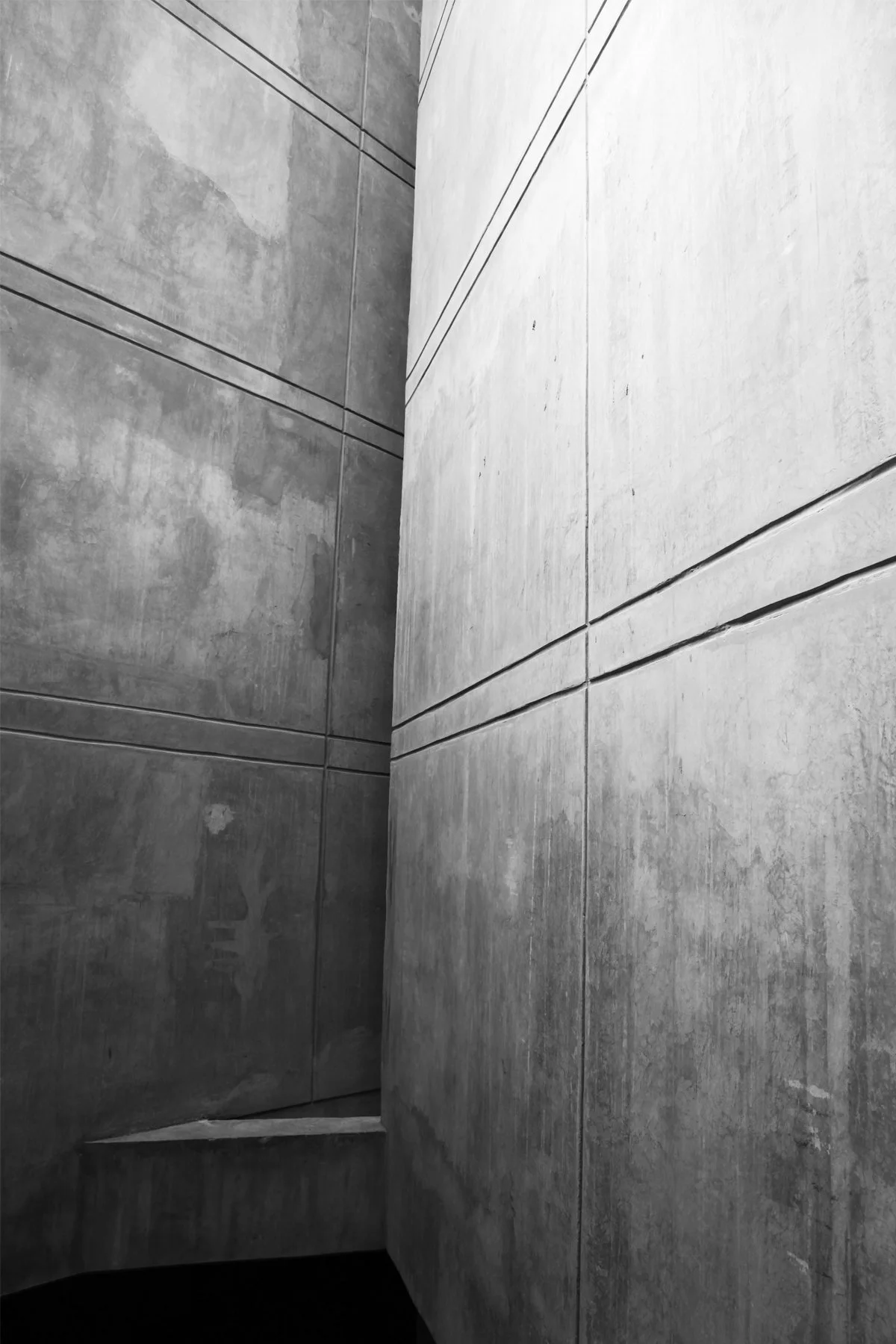 La viga_5_website.jpg
