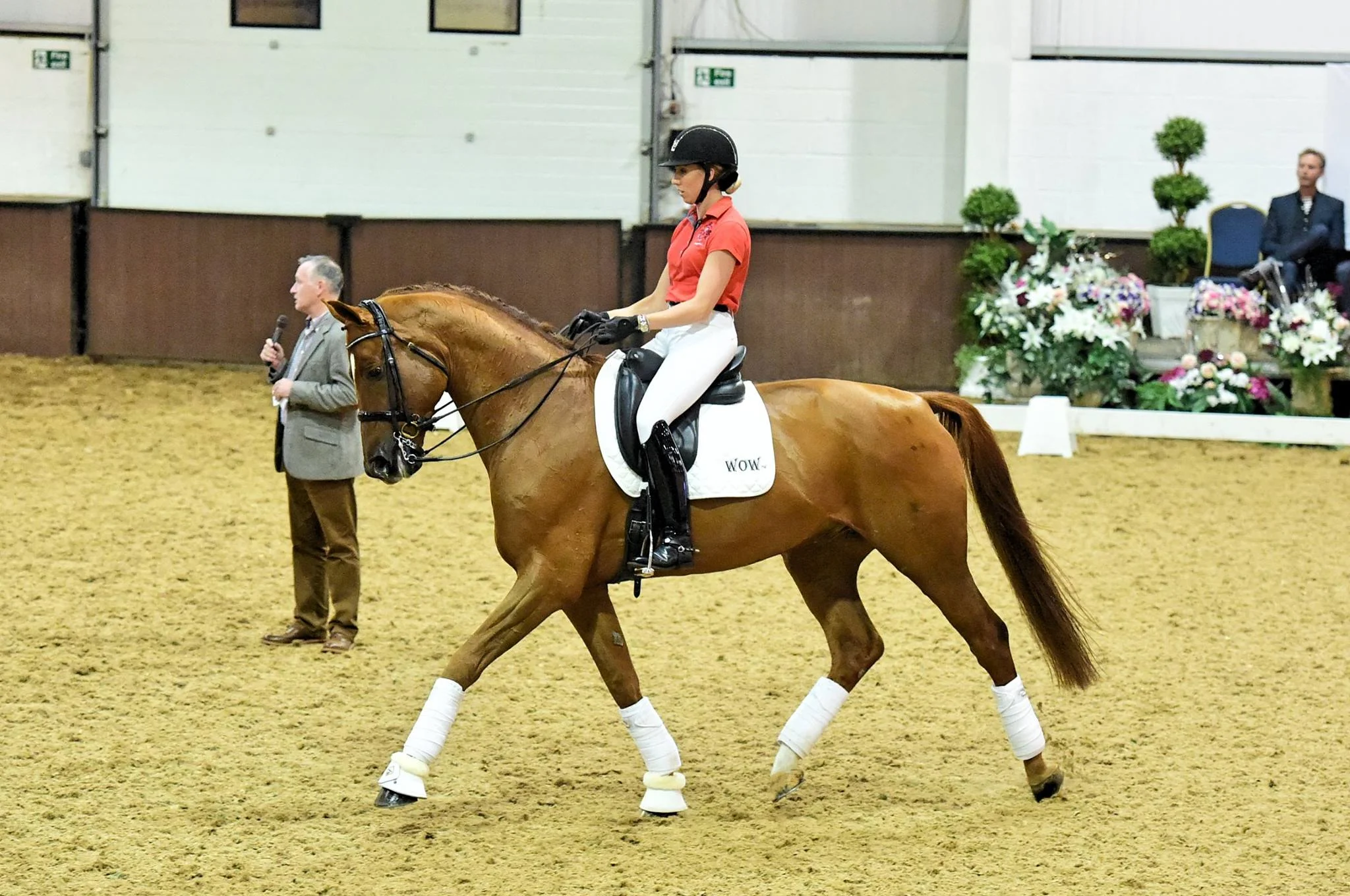 Foxy Bury Home Page.jpg