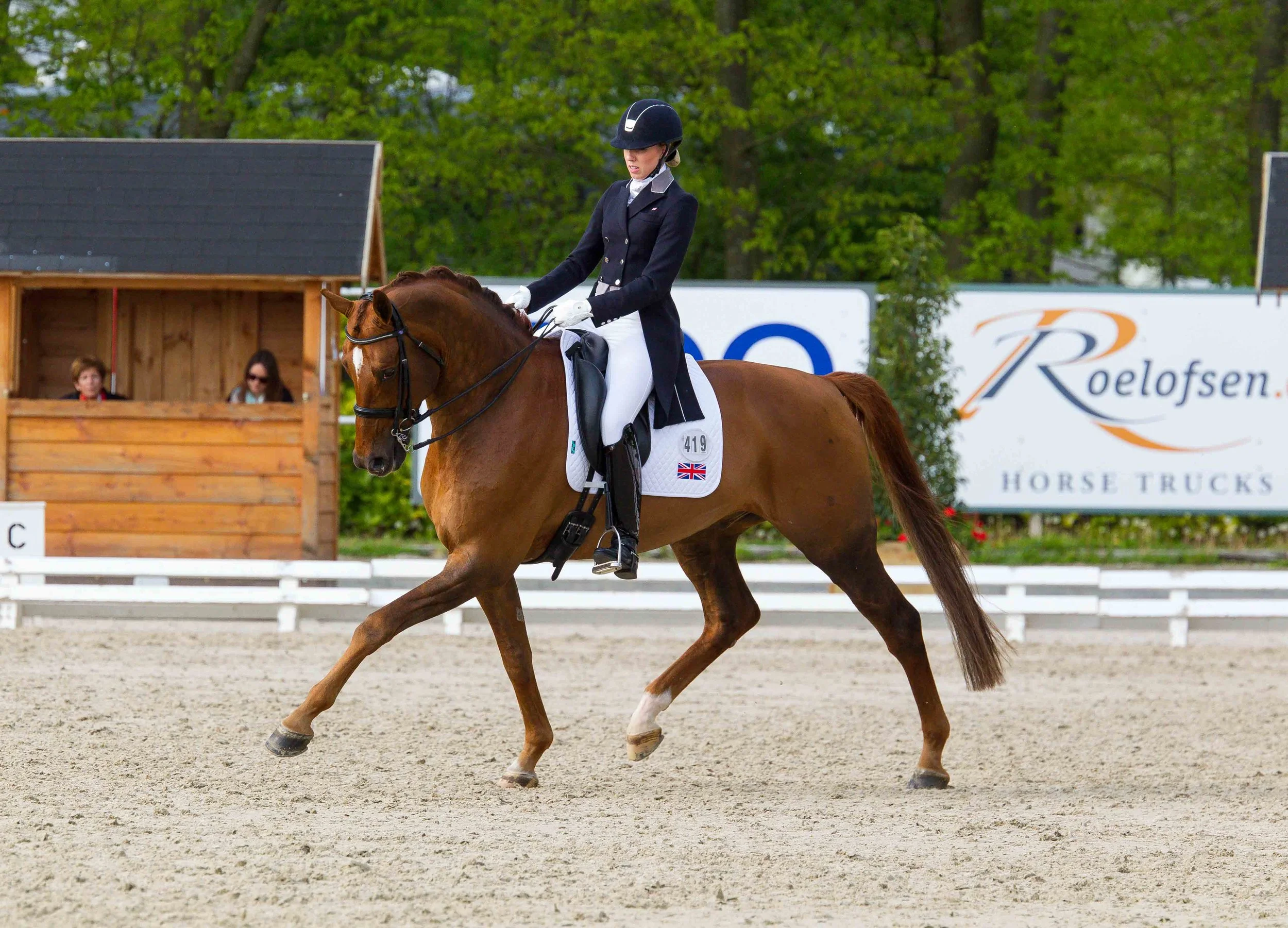Dressage Dreams and a Goalkeeper’s Regime - Part 2