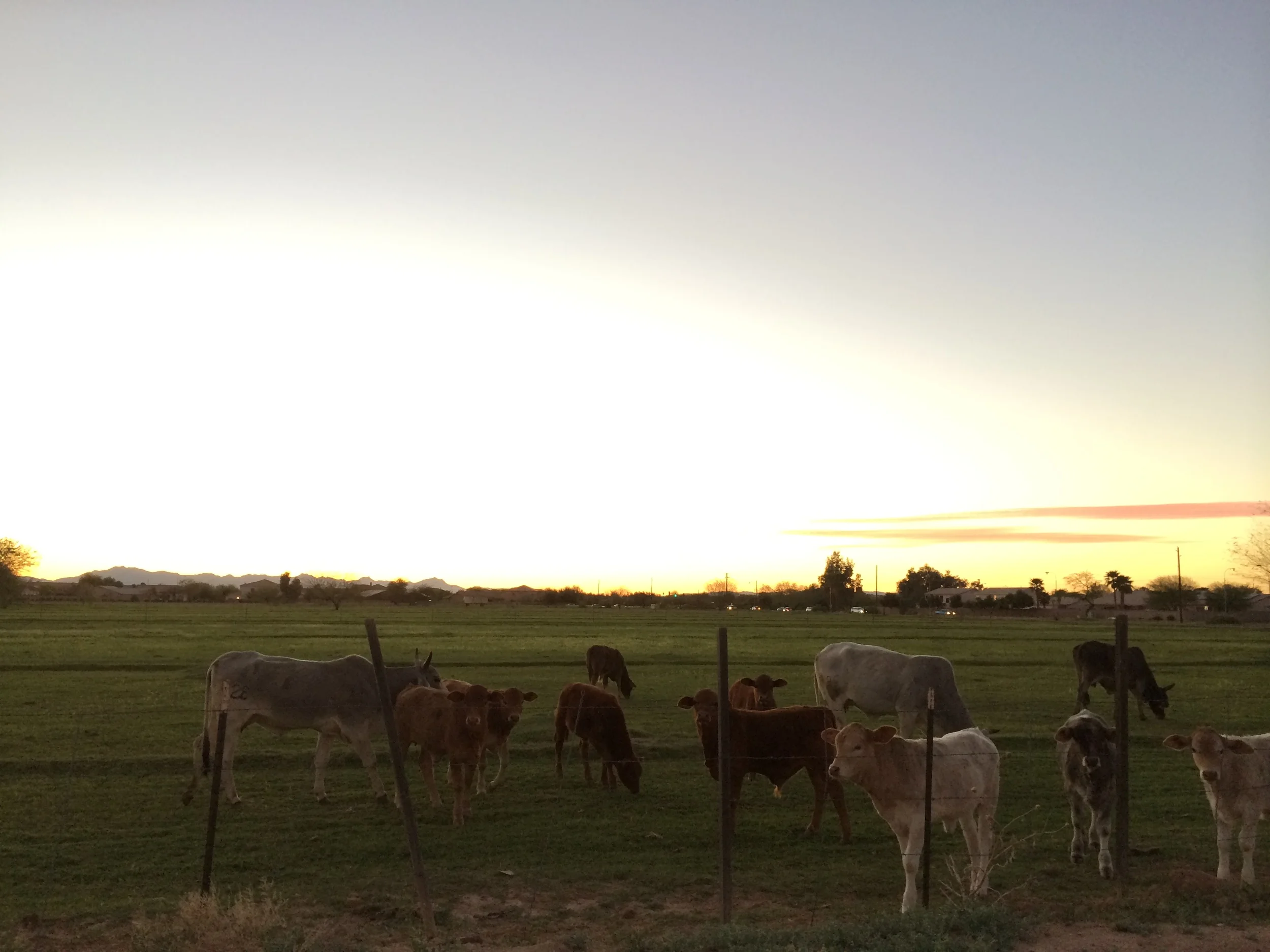 Heading to band practice..