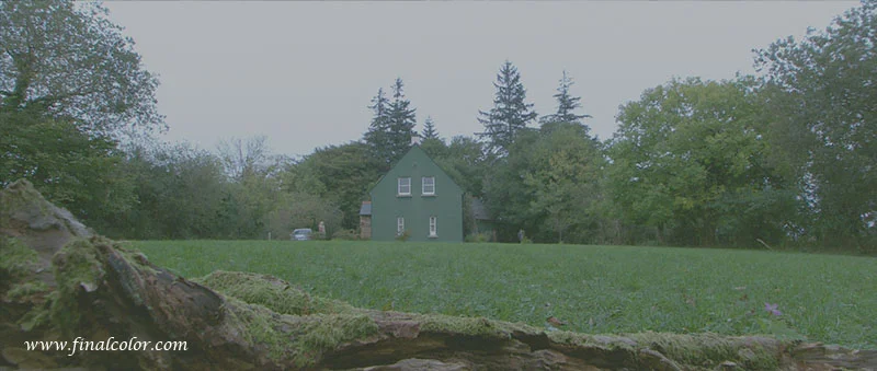 wakewood 2a.jpg