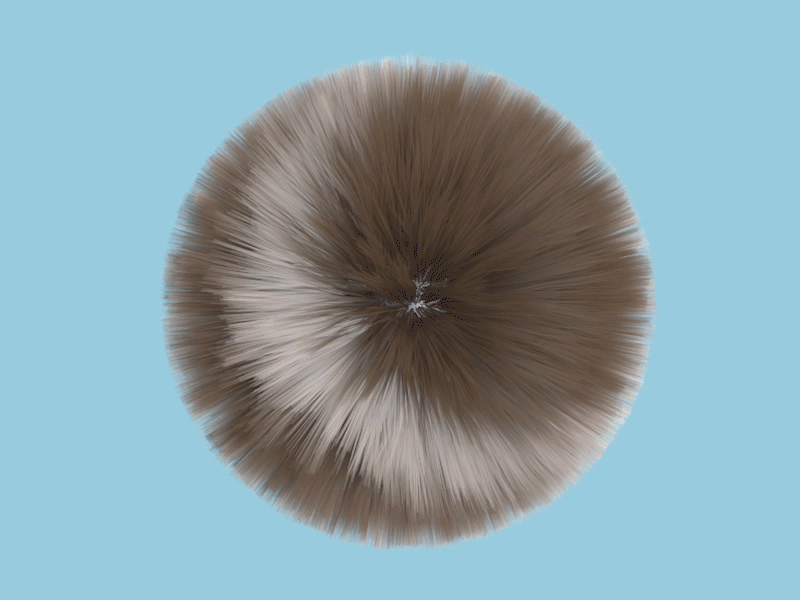 Day 33