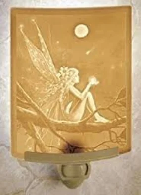 Porcelain Night Lights - Each light is Handcrafted in California using techniques from a lost art of the 1800's called "lithophanes". Light shining through the varied thicknesses of thin porcelain causes a beautiful image to appear in the lit porcelain.