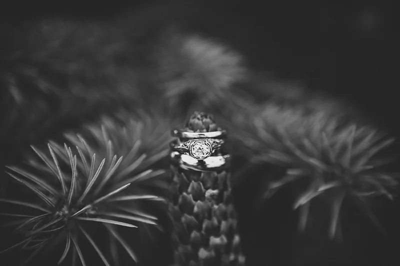 Leah & Pete | Wedding | Justin MIchau Photography