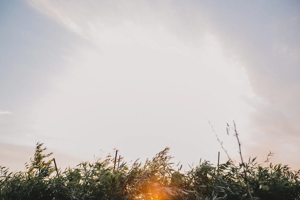 Field&Stream-63.jpg
