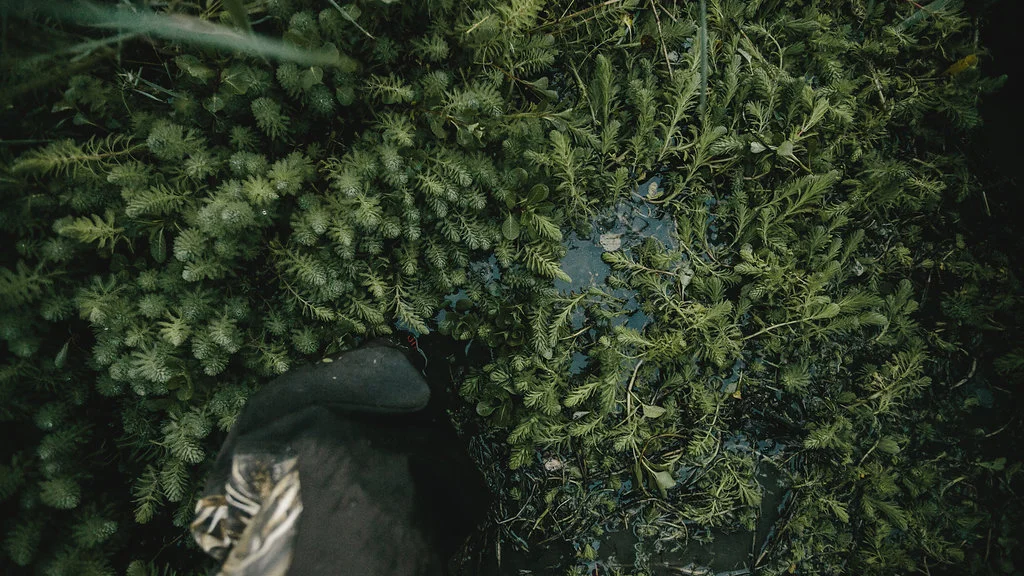 Field&Stream-82.jpg