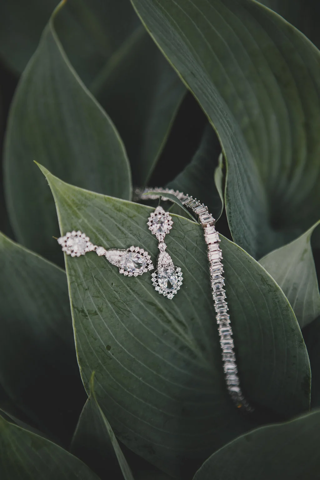 TheShelleyWedding-25.jpg