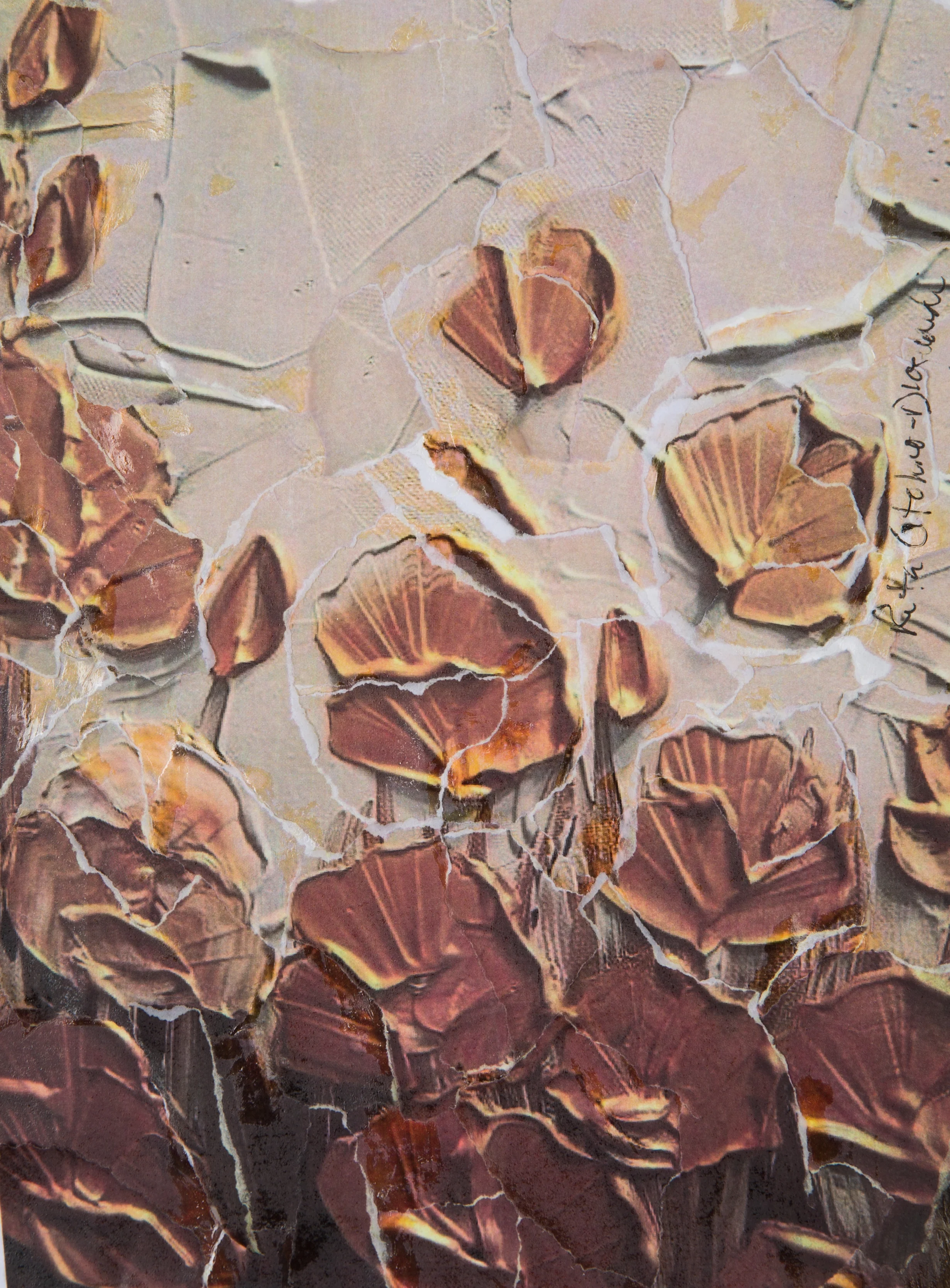 From Seashells to Flowers