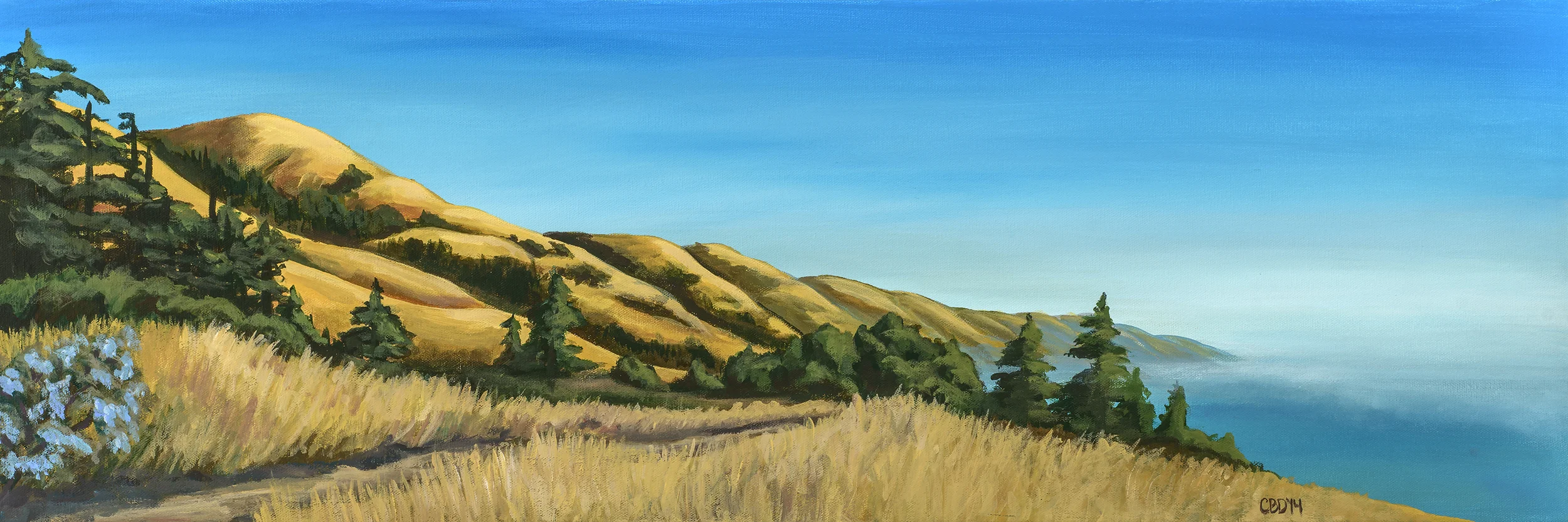 Coastal Trail