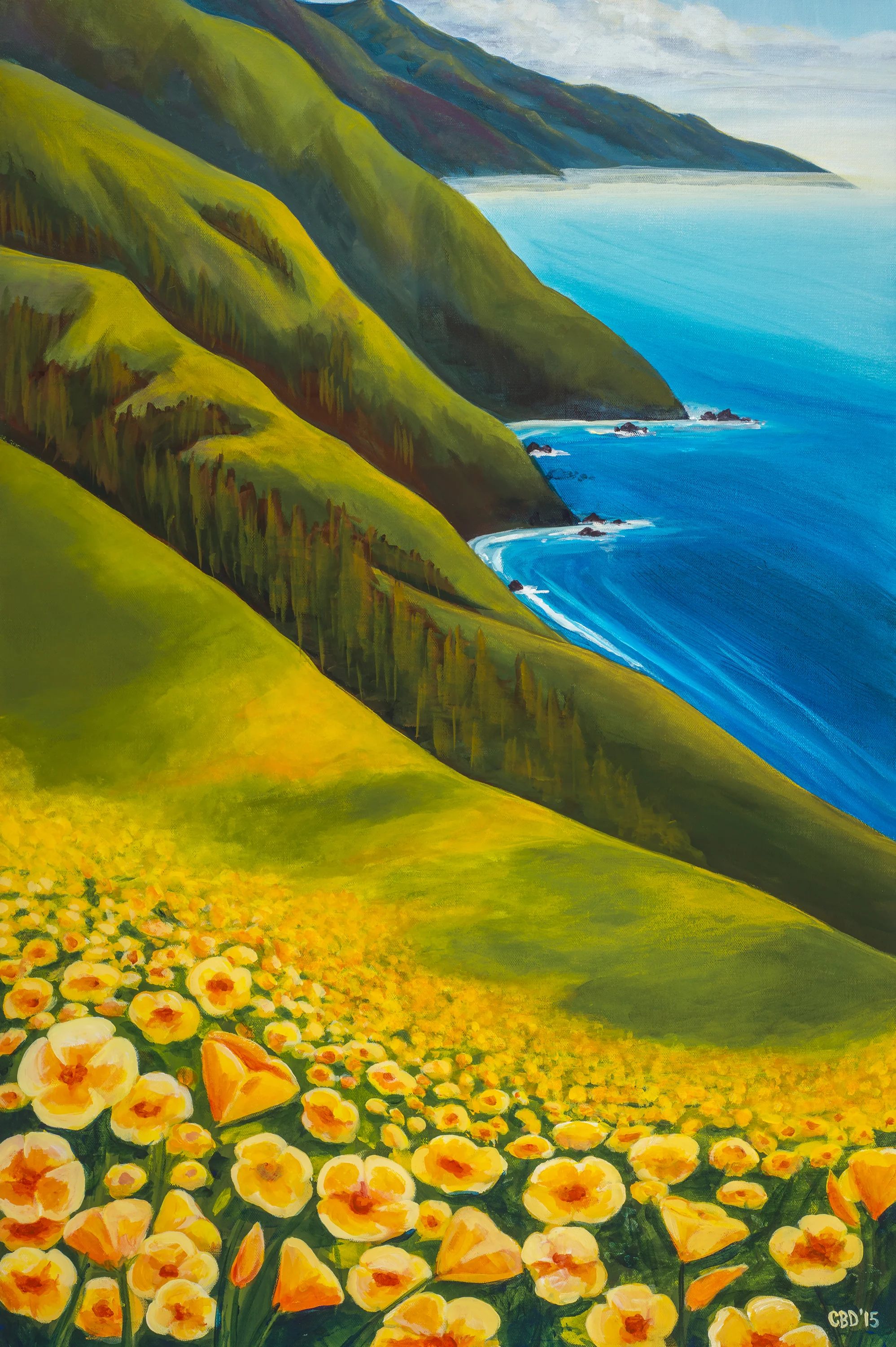 Poppies on the Coast