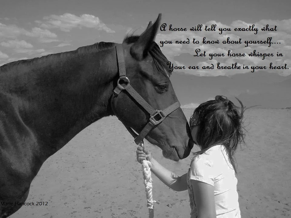 Claire and Dreamer.jpg