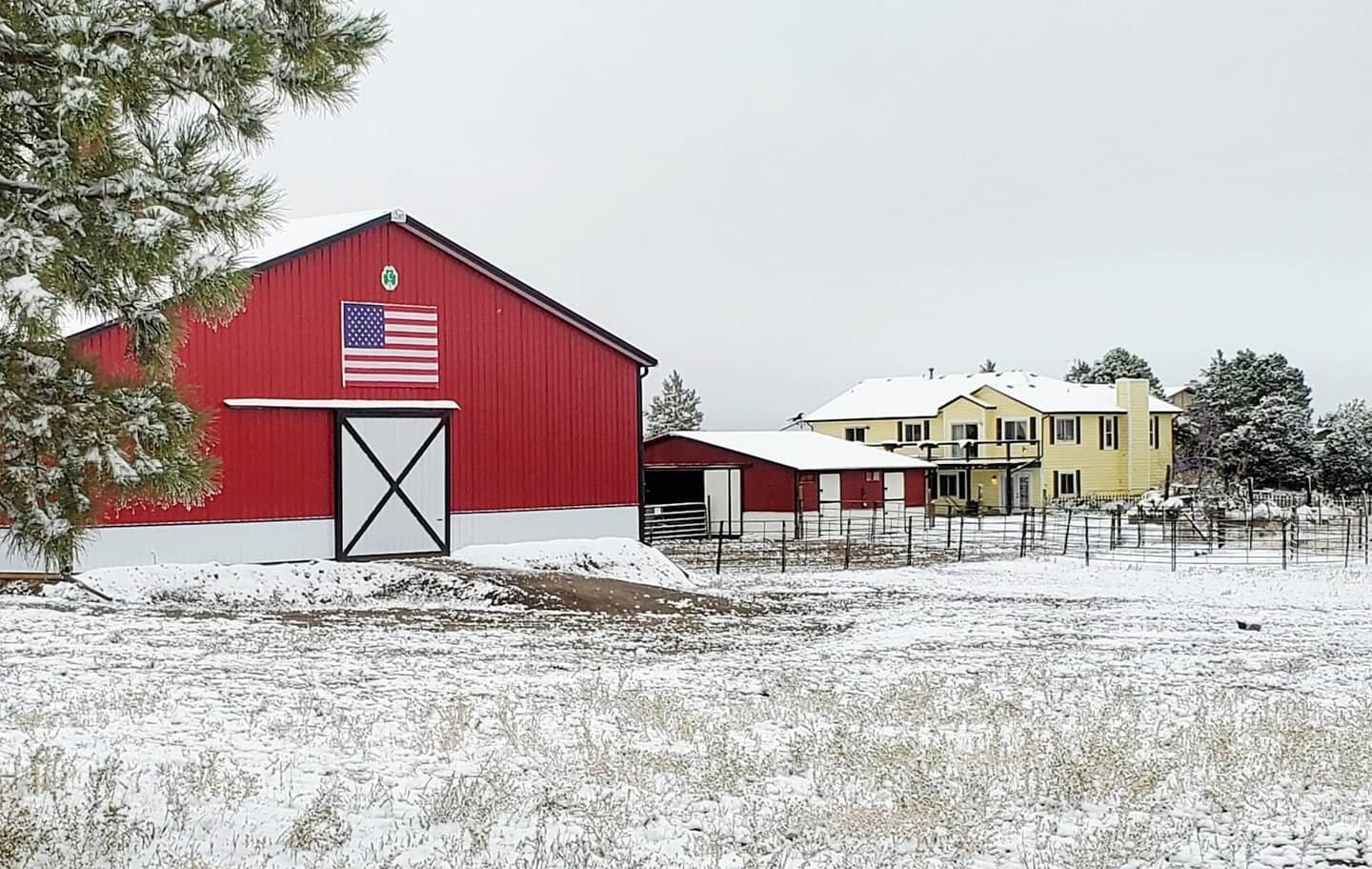 Snowy Morning at Colorado Equine Specialist 
#coloradosnow #snowinseptember #therapy #coloradotherapy #coloradomentalhealth #parkercolorado #equineassistedtherapy #parkermentalhealth #therapyhorses #mentalhealthquotes #mentalhealthmatters #coloradoth