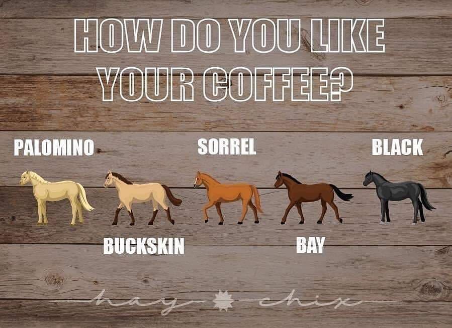 I like buckskin... how about you?