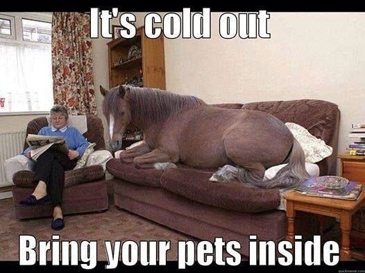 Just a friendly  reminder for the upcoming snow storm.
#coloradosnow #snowinseptember #therapy #coloradotherapy #coloradomentalhealth #parkercolorado #equineassistedtherapy #parkermentalhealth #therapyhorses #mentalhealthquotes #mentalhealthmatters #