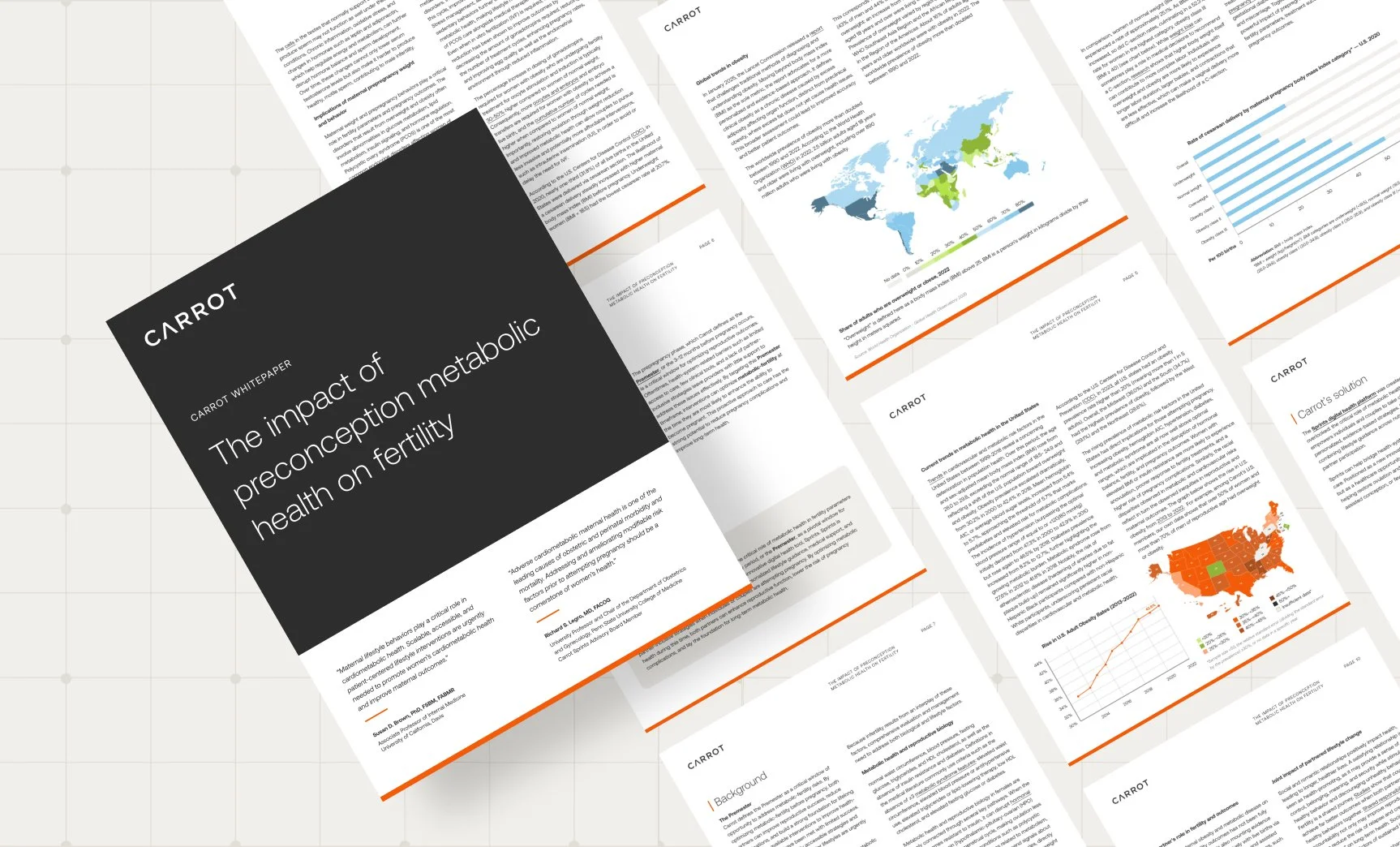 thumbnail_Sprints Whitepaper.jpg