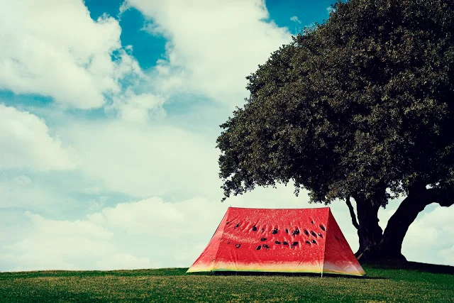 Photo credit: FieldCandy