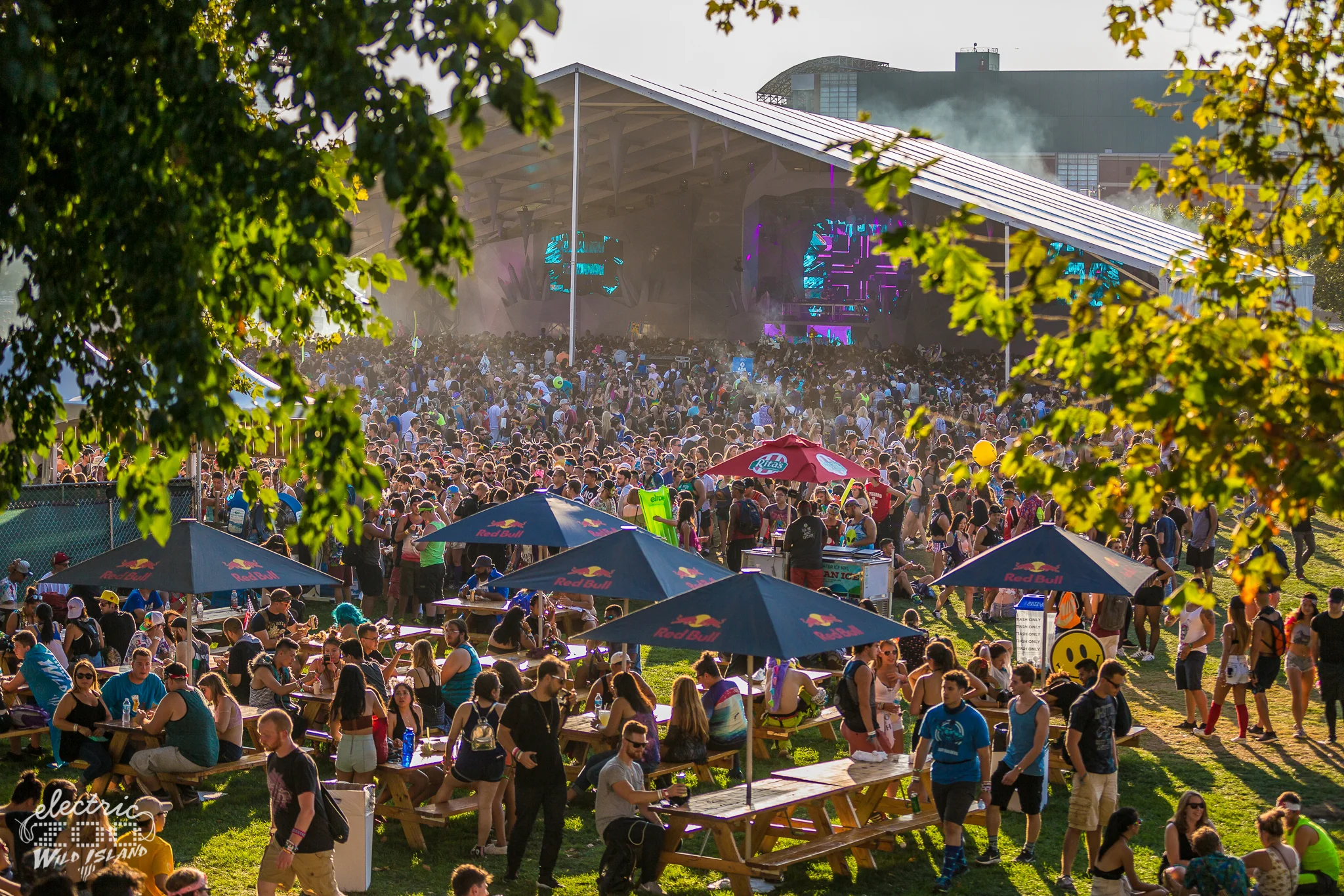 EZOO2016_0903_180552_0488_PJM.jpg