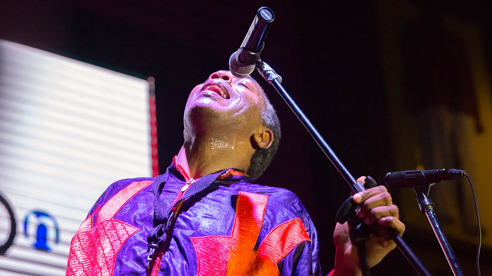 Hero_Felabration_Felabration.jpg