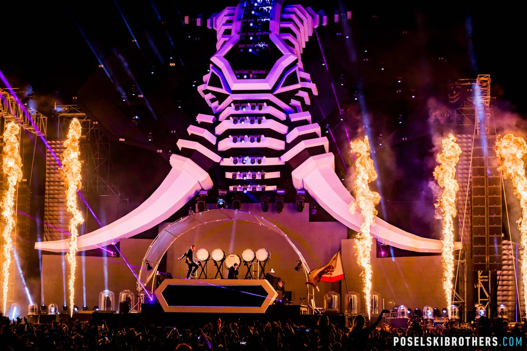 09-01-17 ElectricZooFestival-16.jpg
