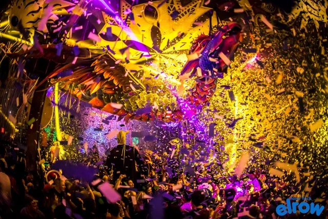elrow NYC.jpeg