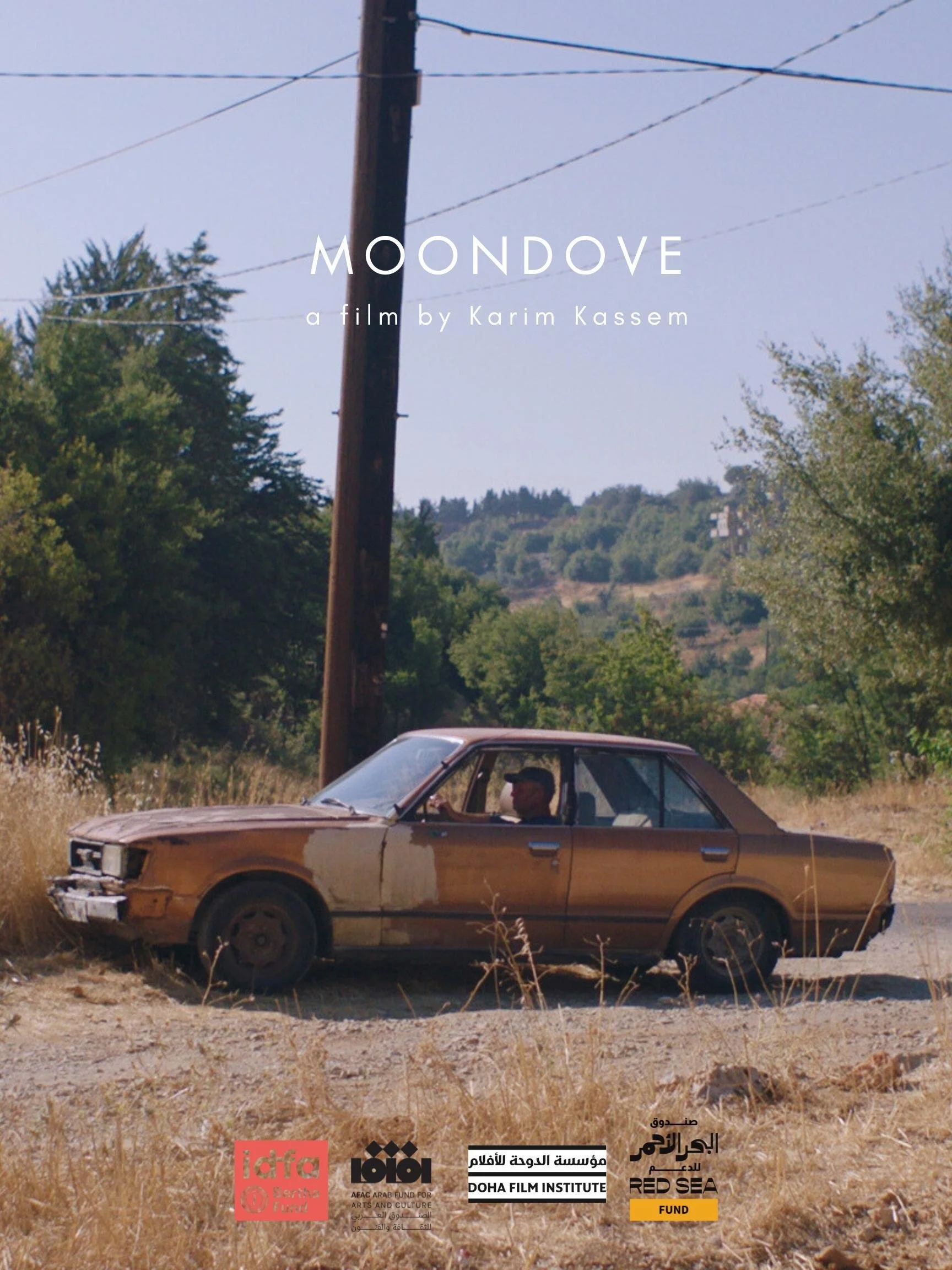 MoonDove.jpg