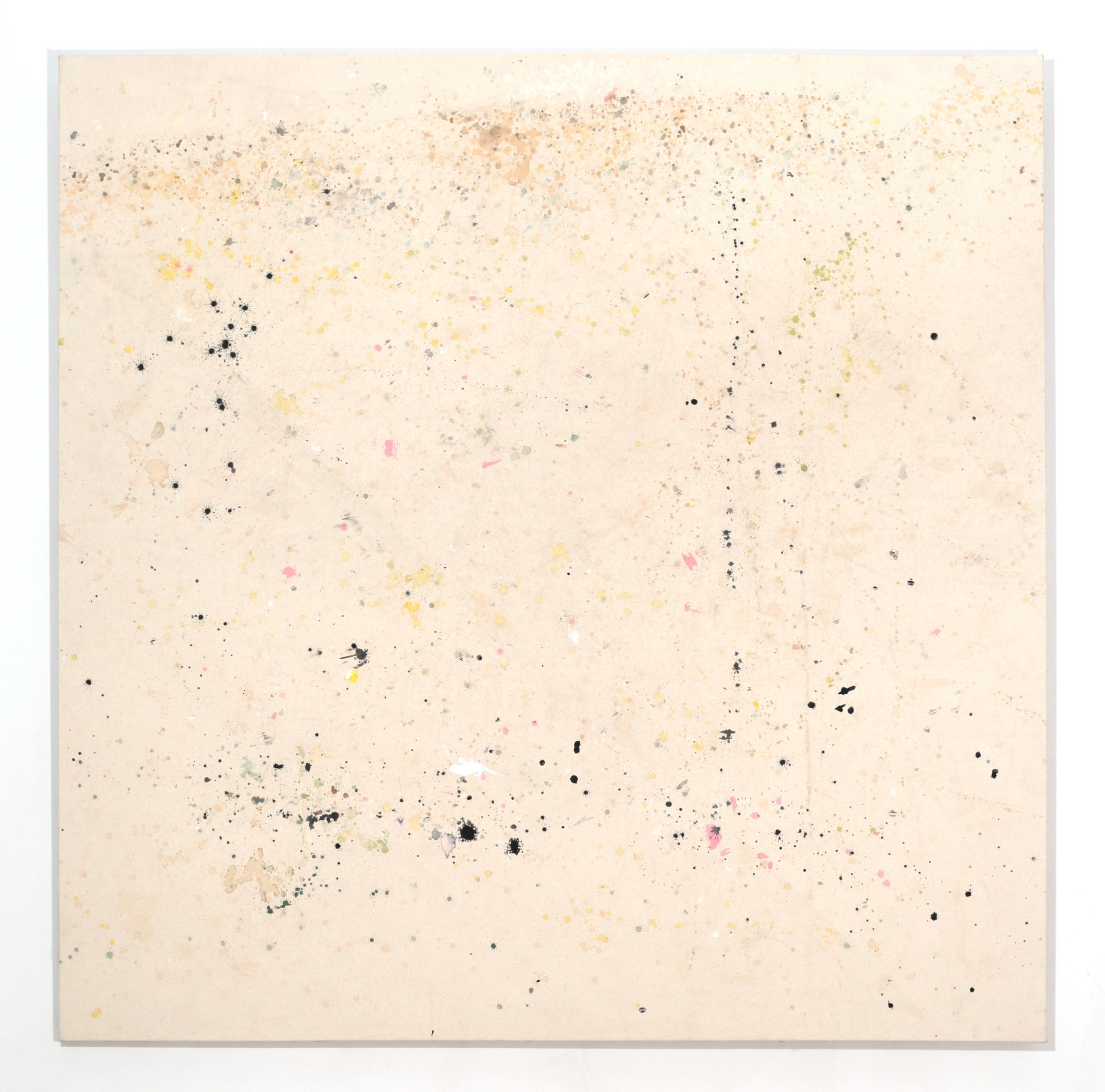 Drop Cloth, 2013