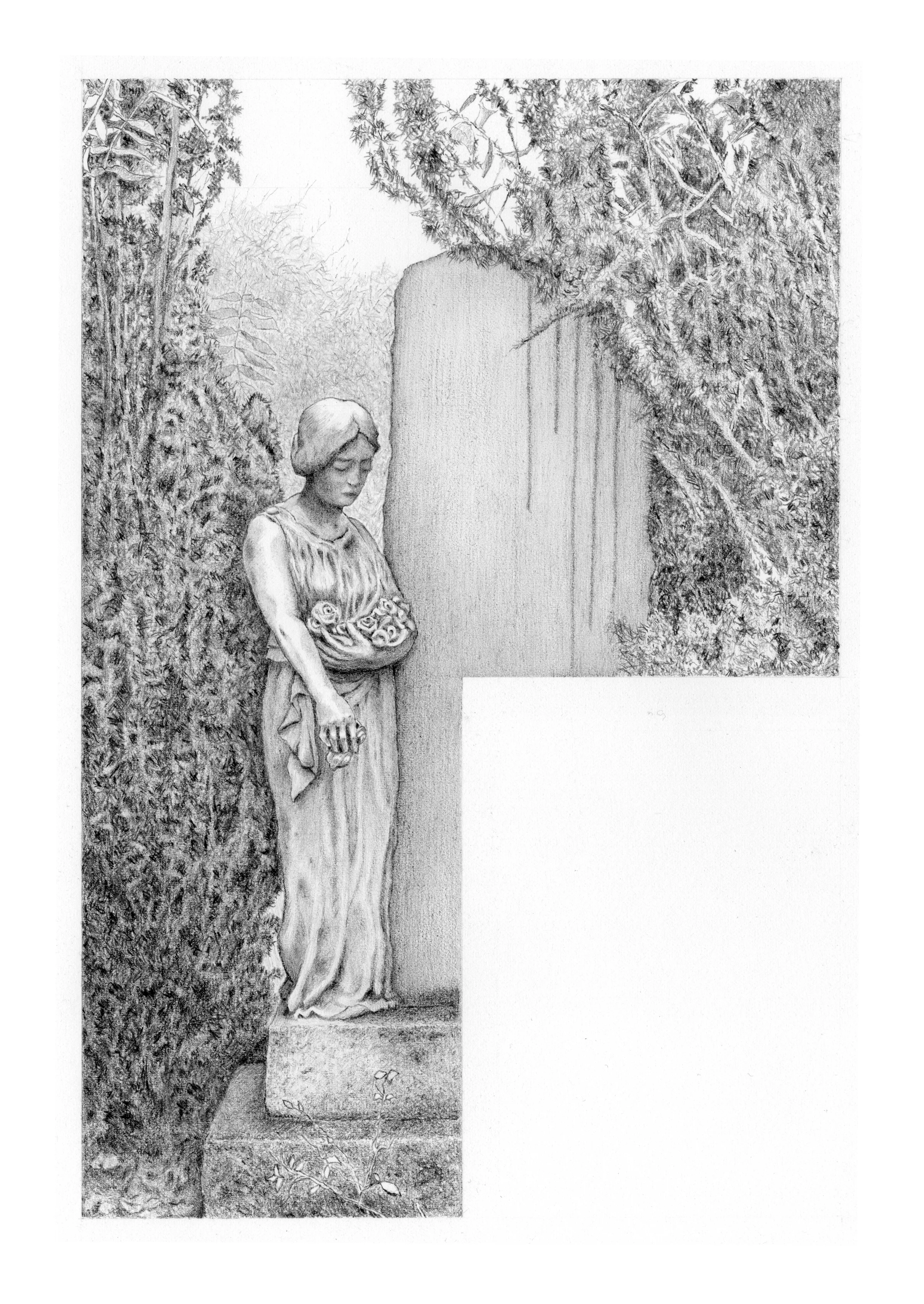 Dispute, 2015