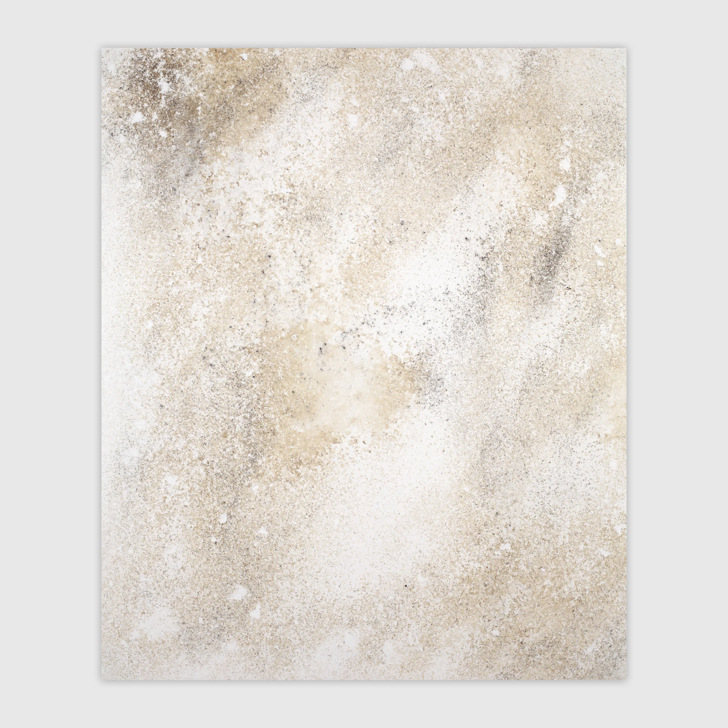 Untitled 2: Two, 2014