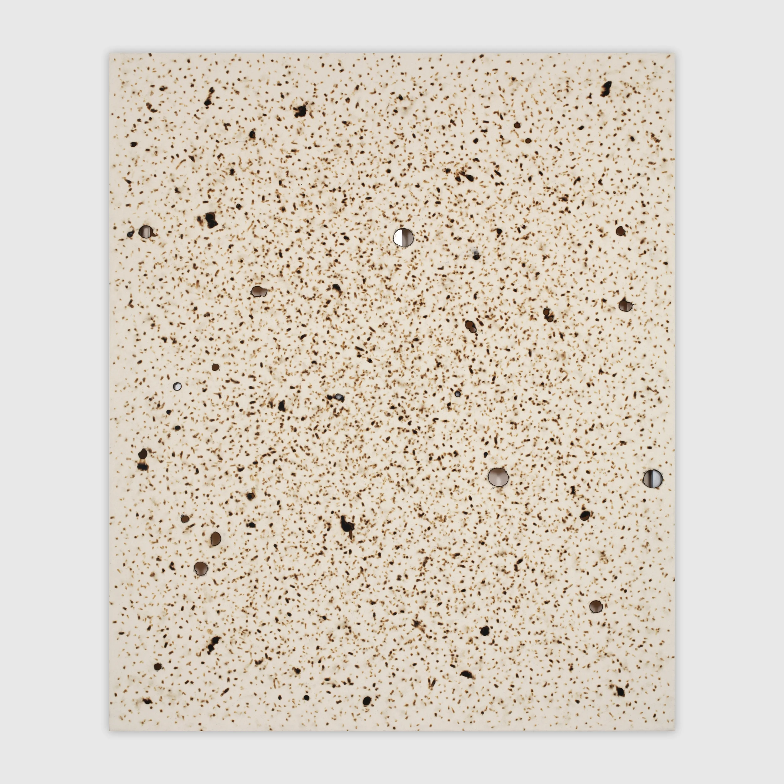 Untitled 3: Two, 2014