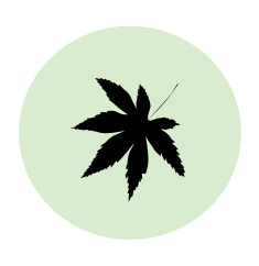 Features_Bamboo.jpg