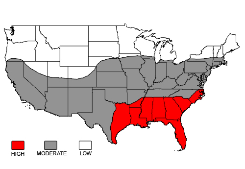 A map showing the distribution of Subterranean Termites in the U.S. Courtesy of The Department of Urban and Structural Entomology at Texas A&M University.