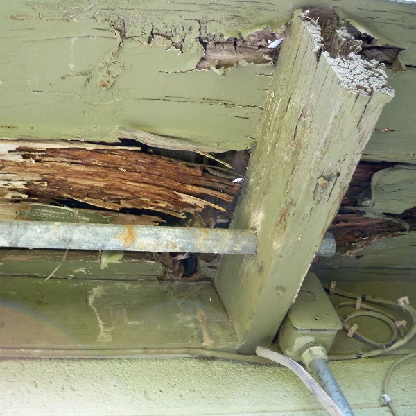 Termite damage is shown on an exterior wooden awning.