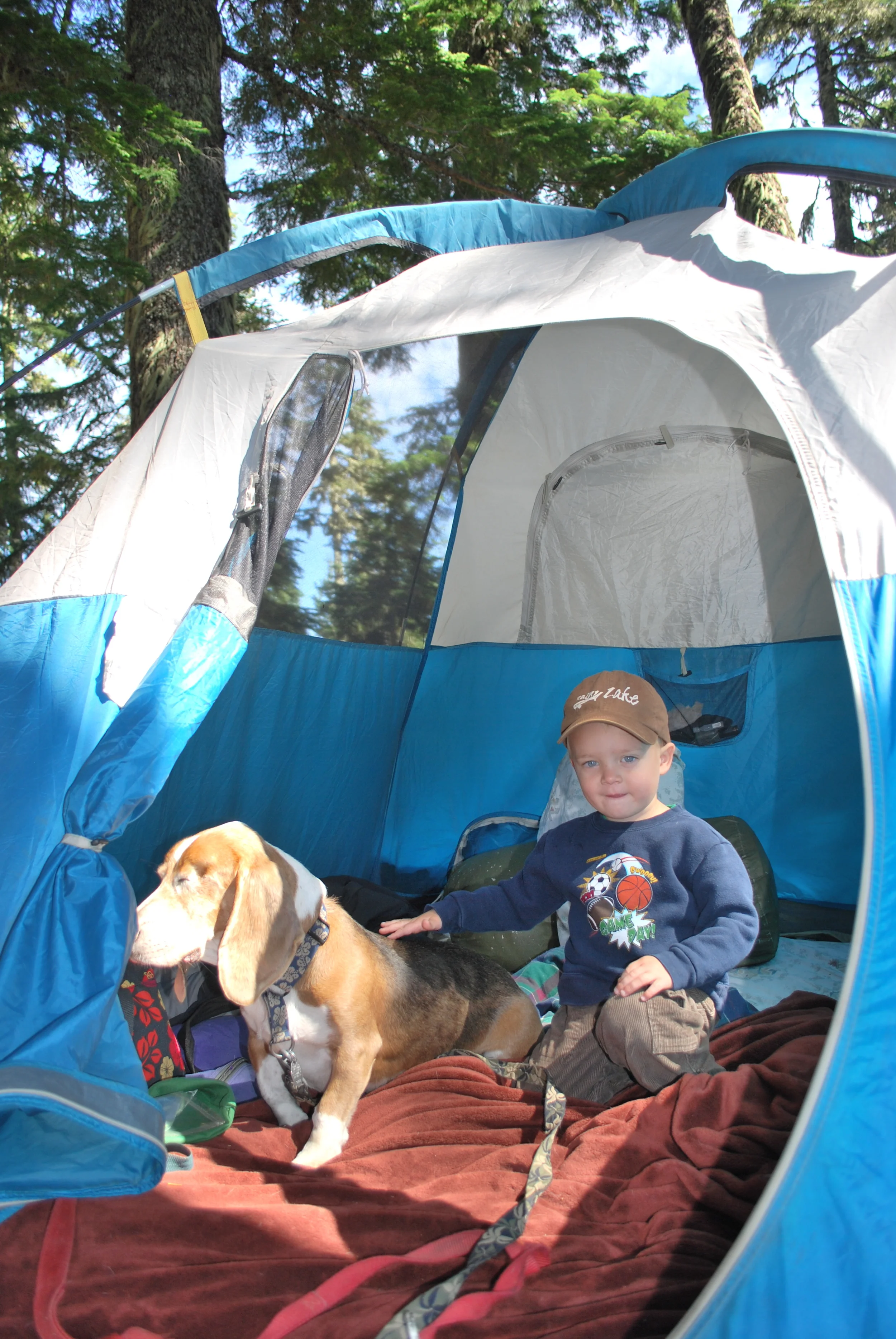 SurfDogDiaries bagel (basset/beagle) Dude camping with his buddy Motts, near Dog Mountain